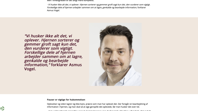 Sreendump af artiklen