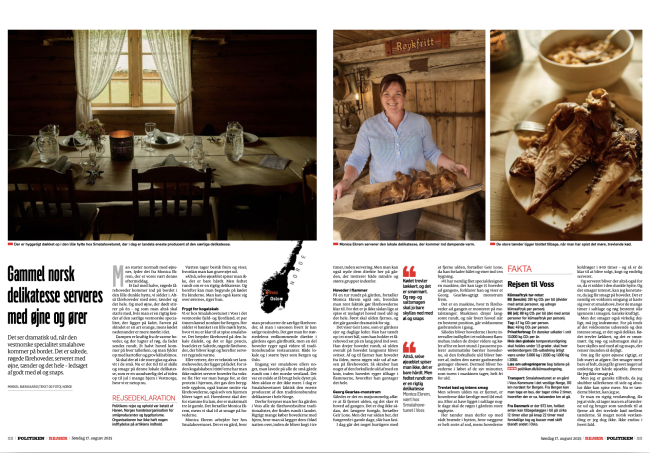 Screenshot af artiklen